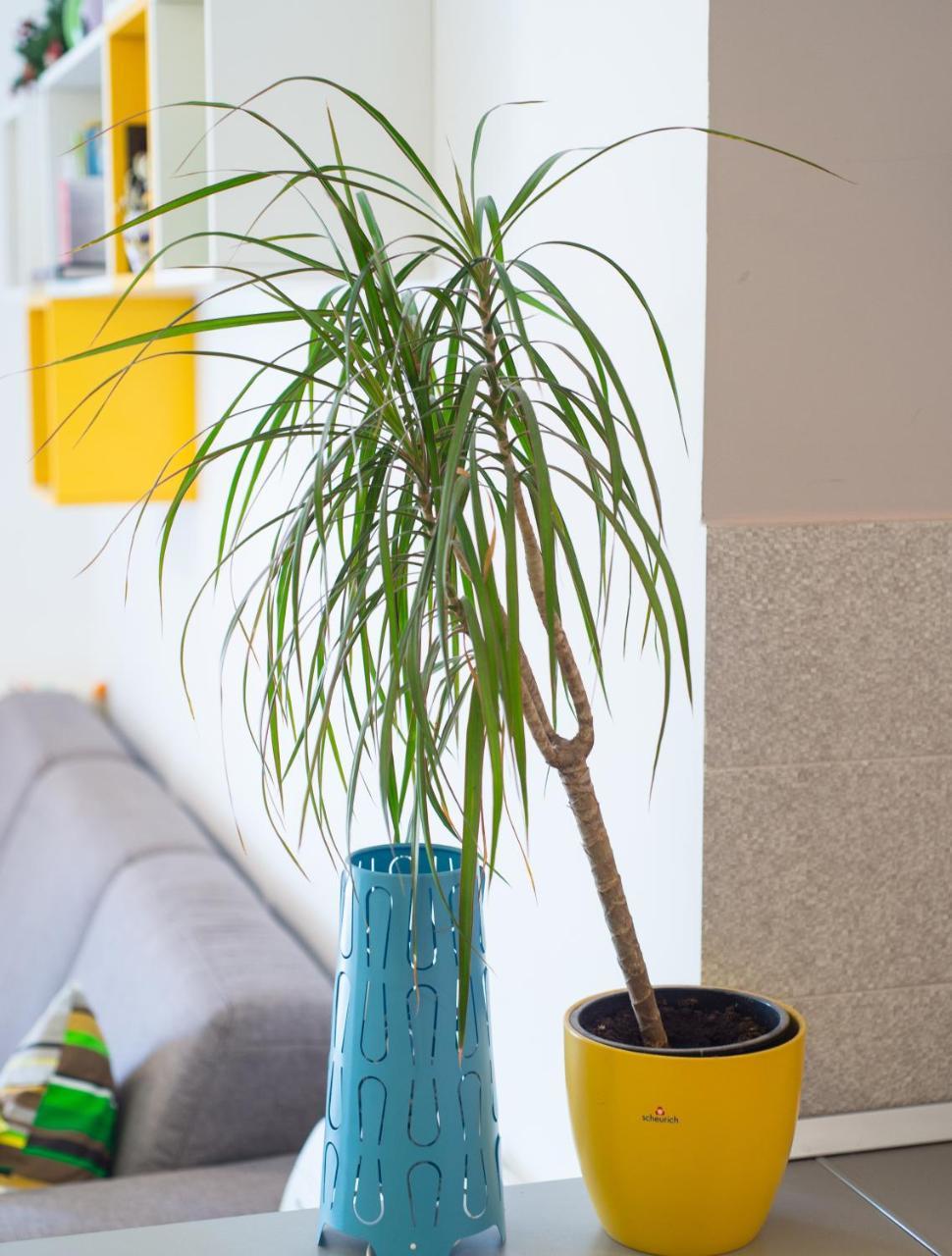 Apartment Lemon Мостар Екстер'єр фото